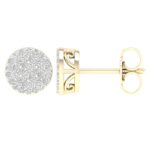 0.25ct Natural Diamond Earrings in 10K Yellow Gold