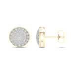 Women's 0.25ct Natural Diamond Earrings in 10K Yellow Gold